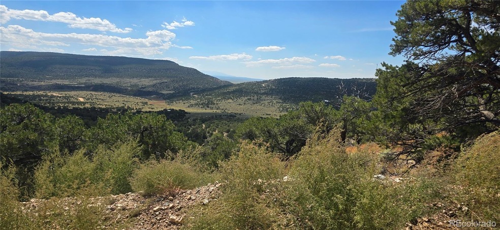 Lot 3862 Fontaine Rd, Fort Garland, CO 81133 - photo 1