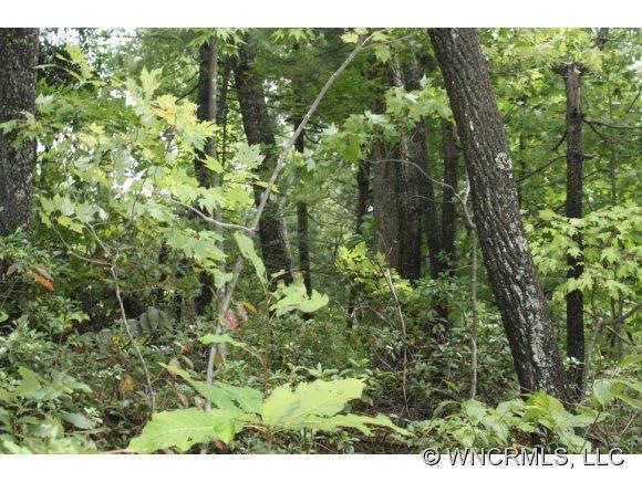 Large wooded lot