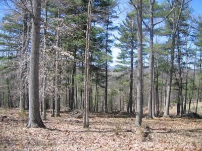 20.097 ACRES