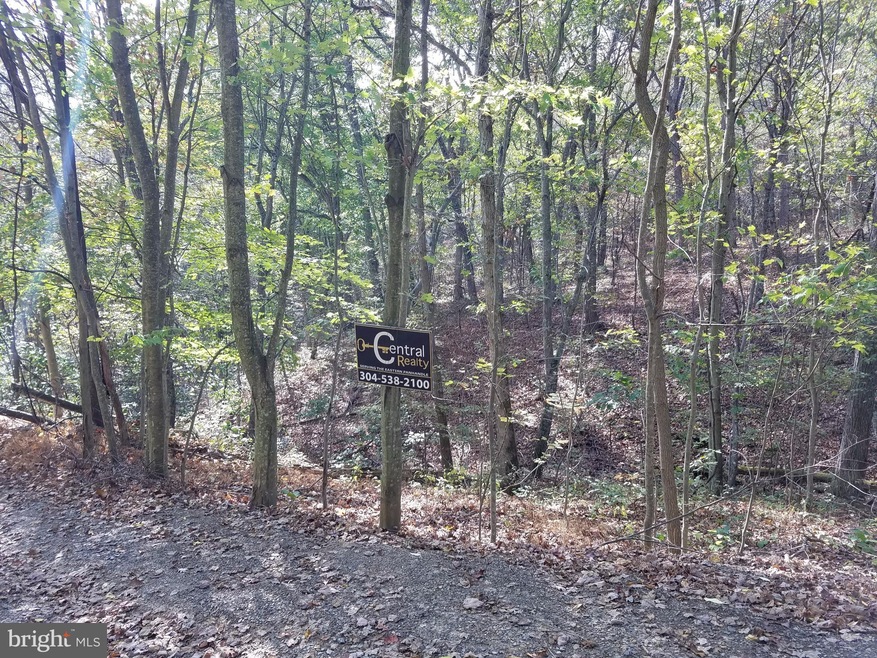 1 Apple Tree Ln, Moorefield, WV 26836 - photo 1