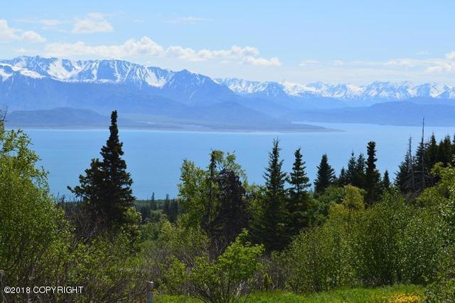 Kachemak Bay View