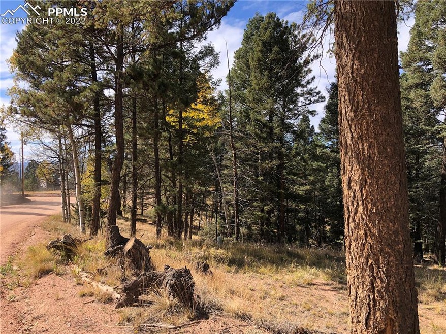 Sold  • Co-Listing Agent