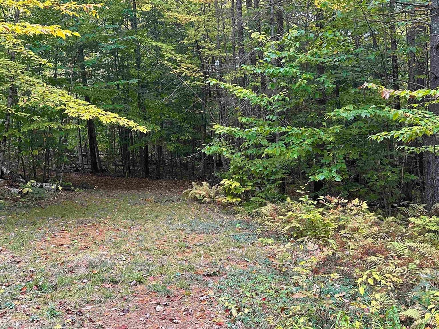 87 Juniper Ledge Rd, Tamworth, NH 03817 MLS 4975603