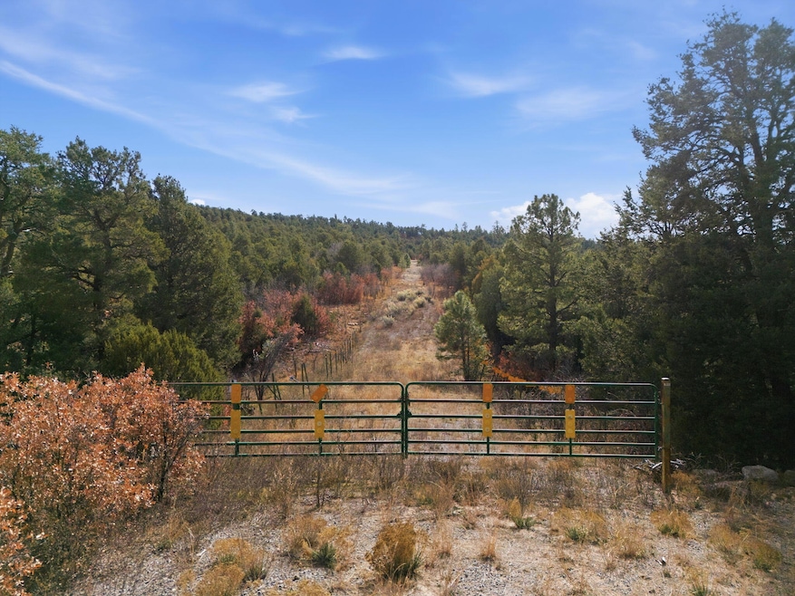 11 Hayner Ct, Tijeras, NM 87059 - photo 1
