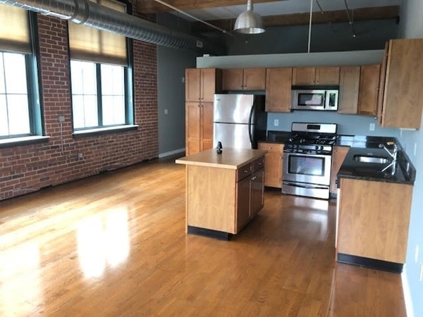 Fremont Lofts unit 304, Worcester, MA 01603 - photo 1
