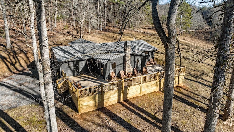 198 Pine Knot Ln, Mineral Bluff, GA 30559 - photo 1