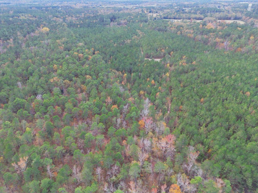 aerial 17