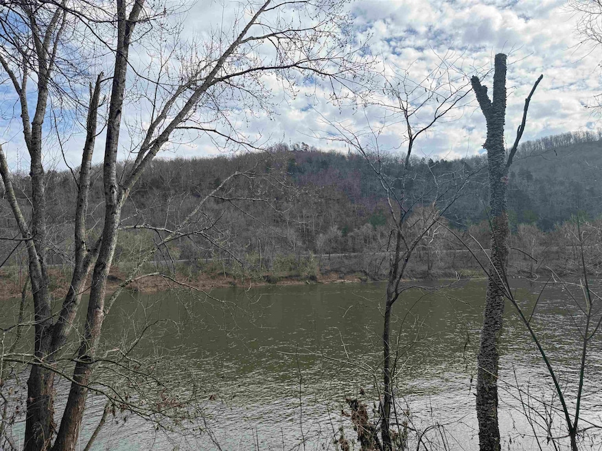 13 Allure Ln, Mountain View, AR 72560 - photo 1