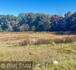 10484 56th Place N, Lake Elmo, MN 55042 - photo 1