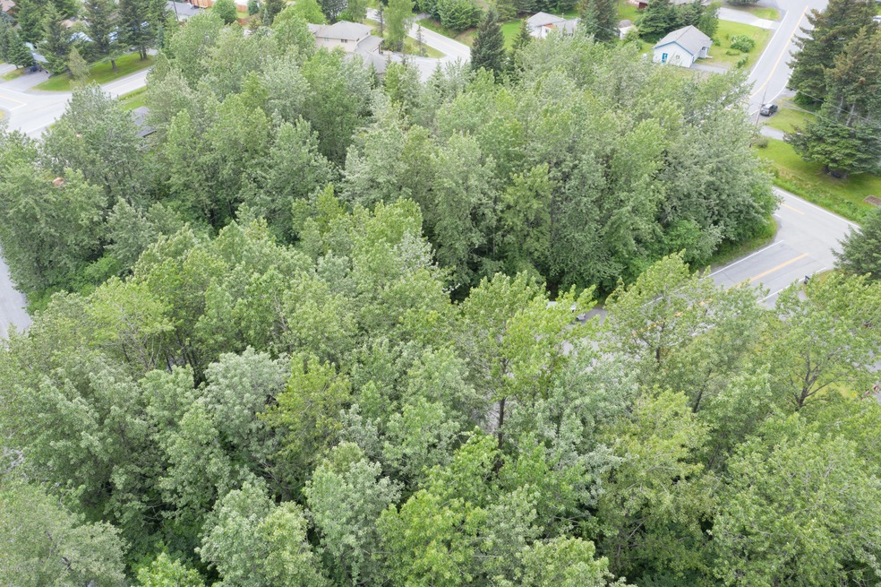 DJI_0581