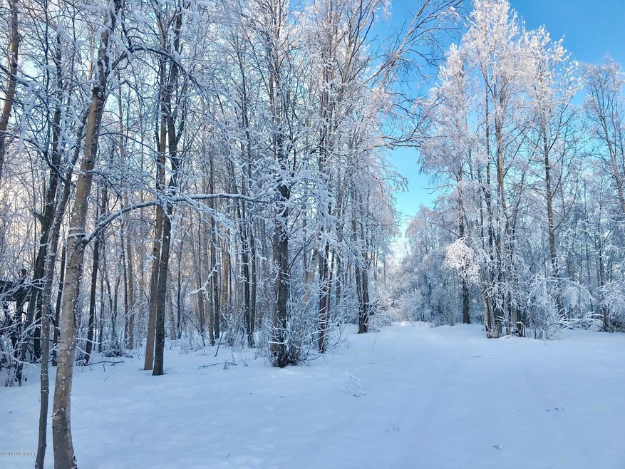 West side from driveway