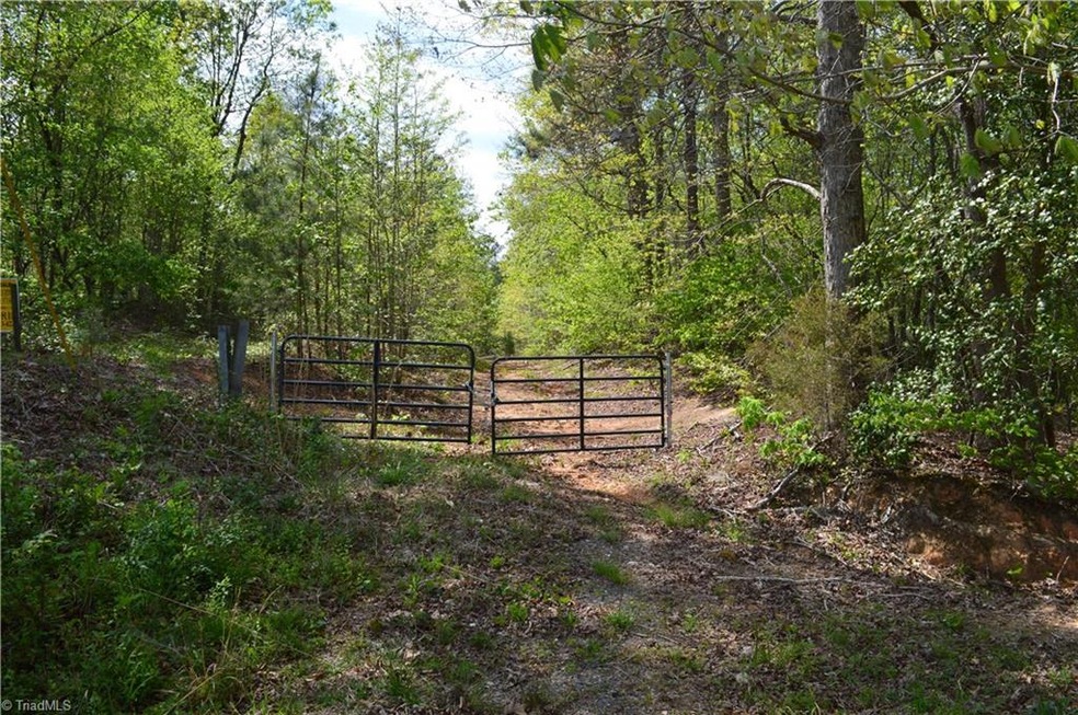 0 Lucas Rd, Star, NC 27356 - photo 1