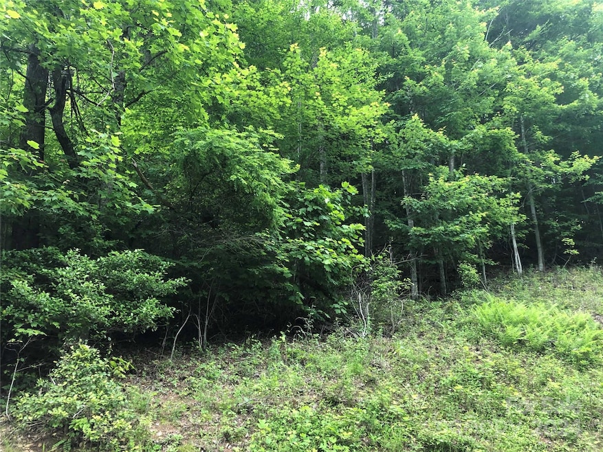 000 N Blue Ridge Pkwy E unit 167, Jefferson, NC 28640 - photo 1