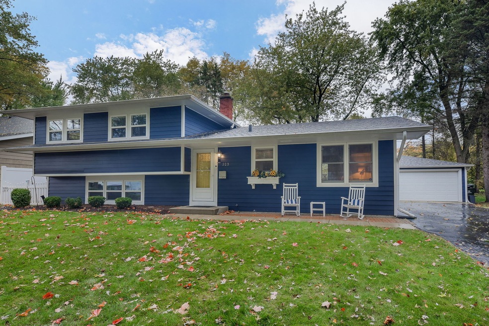 313 Osage Ln, Naperville, IL 60540 - photo 1