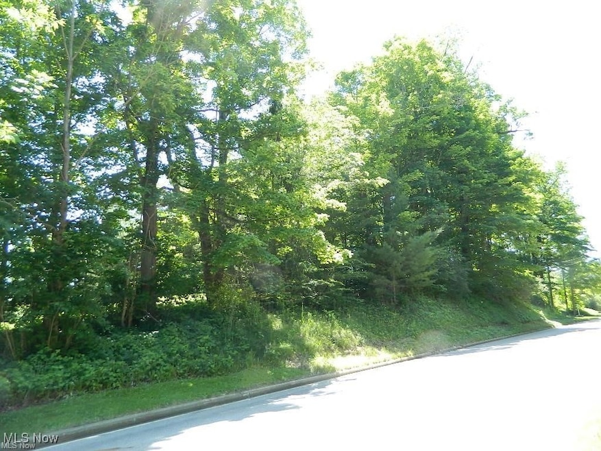 Vacant Land Heath Rd, Chesterland, OH 44026 - photo 1