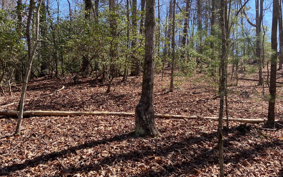 0 Hiawassee Ct unit 323830, Ellijay, GA 30540 - photo 1