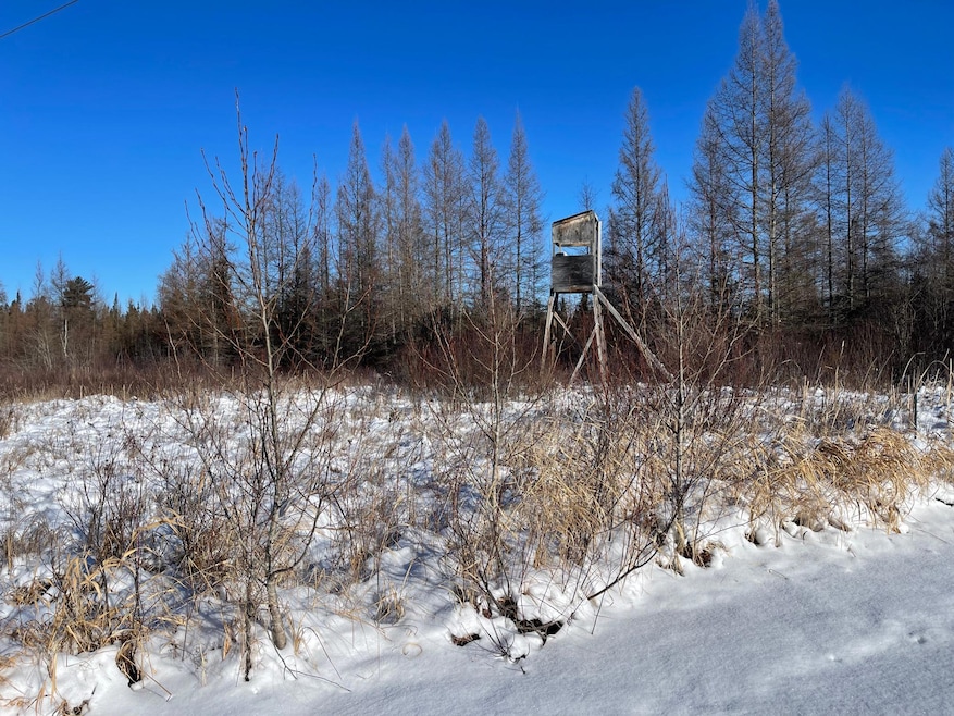 508 Cedar Valley Rd, Cedar Valley Township, MN 55736 - photo 1