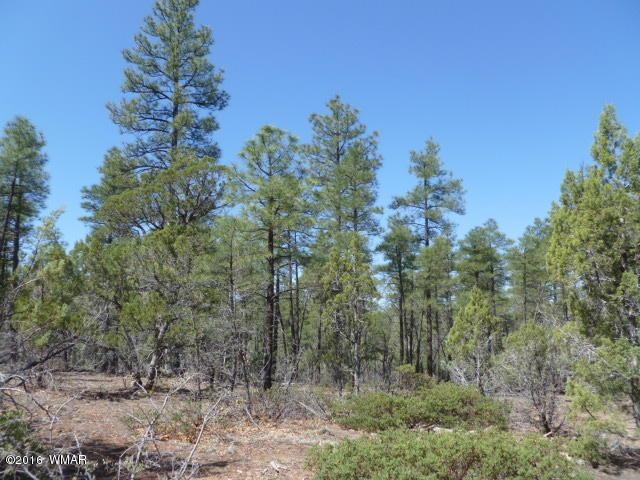 P1030535