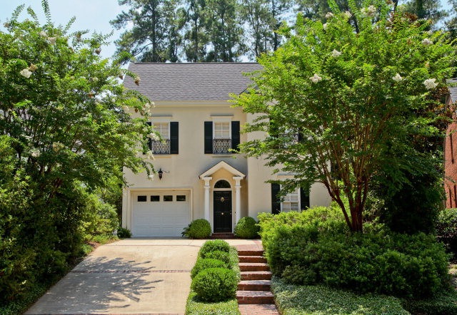 Main View