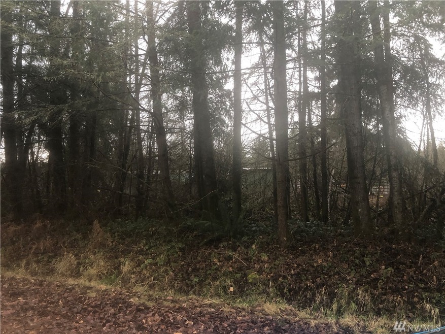 0 364th St S unit 1712996, Roy, WA 98580 - photo 1