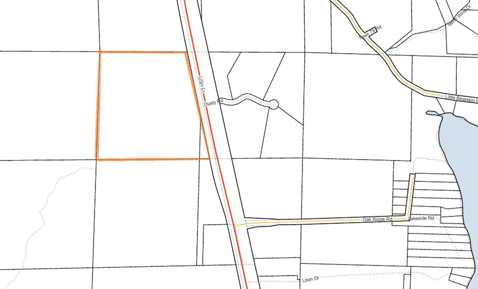 Lt0 - Lt1 U S Highway 51, Harshaw, WI 54529 - photo 1