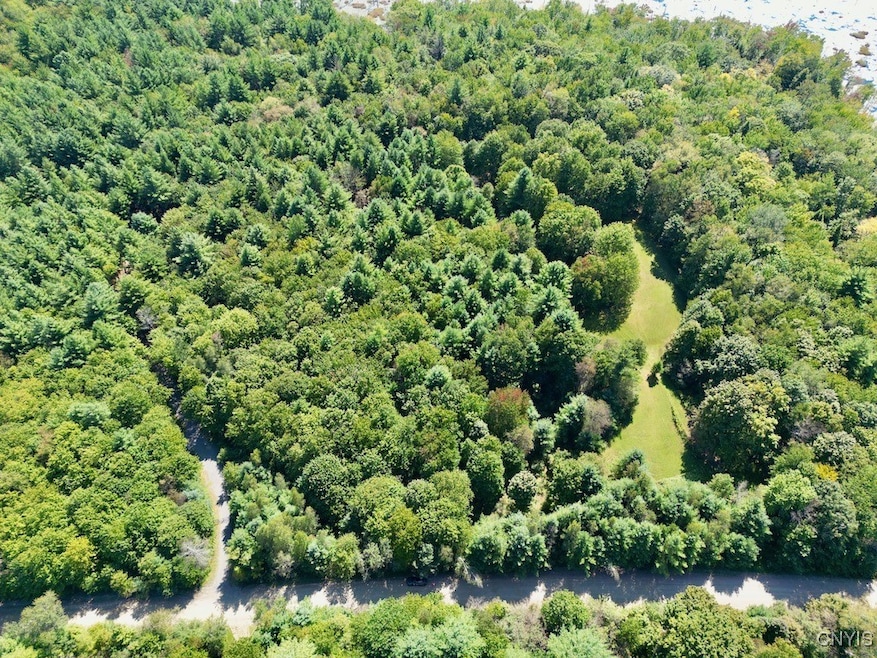 0 Austin Rd unit S1618955, Altmar, NY 13302 - photo 1