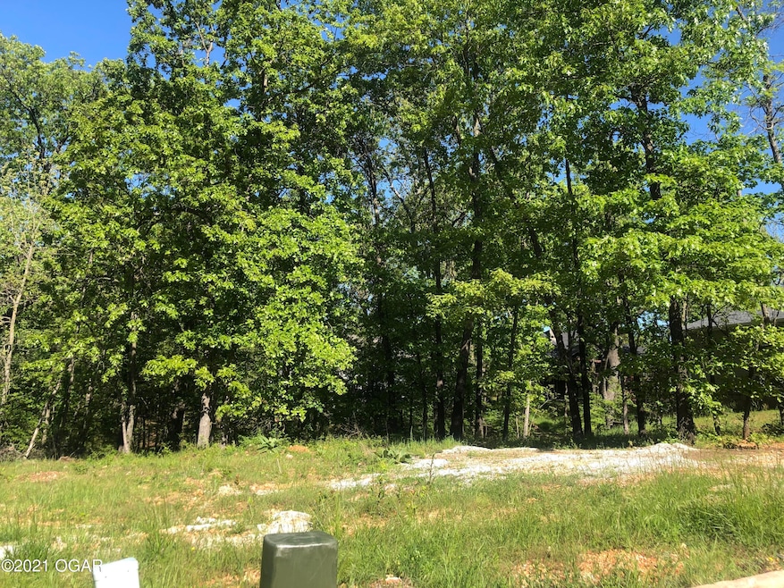 TBD S Scenic Avenue Lot unit 8, Joplin, MO 64804 - photo 1