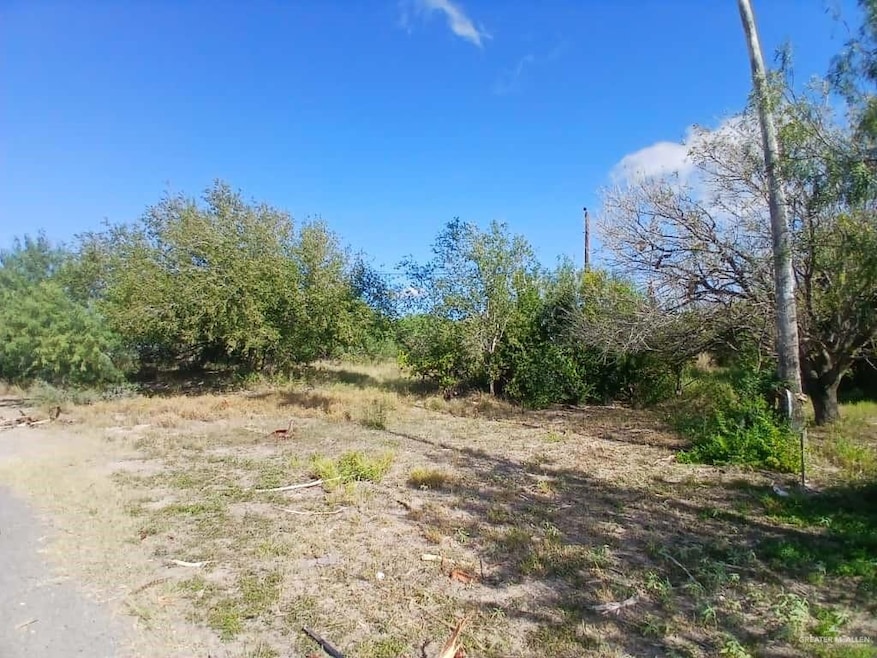 5410 Victory Ave, Edinburg, TX 78542 - photo 1