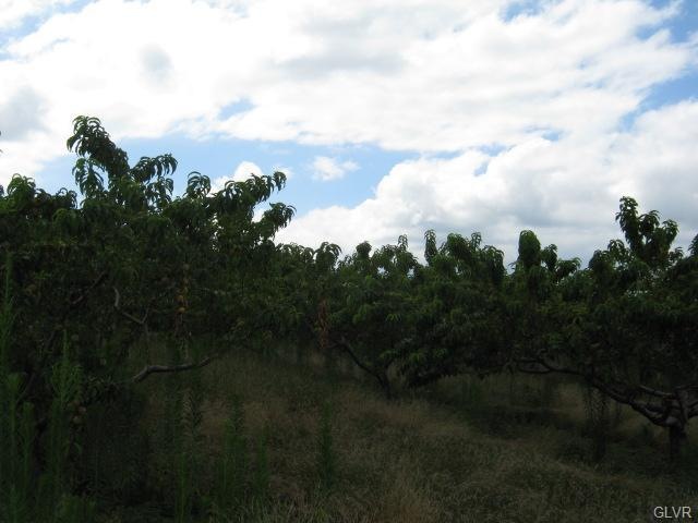 0 S Summer Mt Rd unit 455276, Schuylkill County, PA 17960 - photo 1