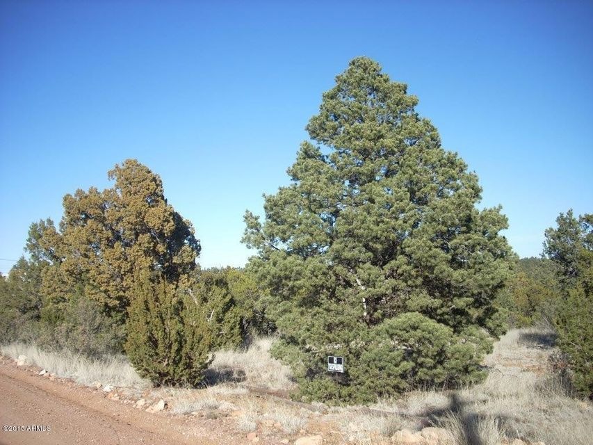 DSCN8317.jpg