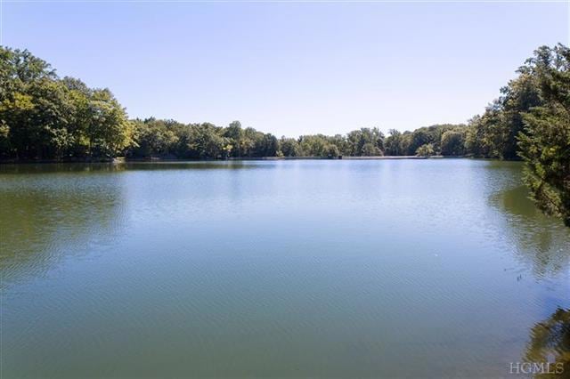 6 N Lake Rd, Armonk, NY 10504 - photo 1