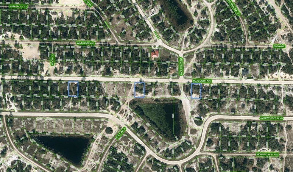 429 Blue Moon Ave, Lake Placid, FL 33852 - photo 1