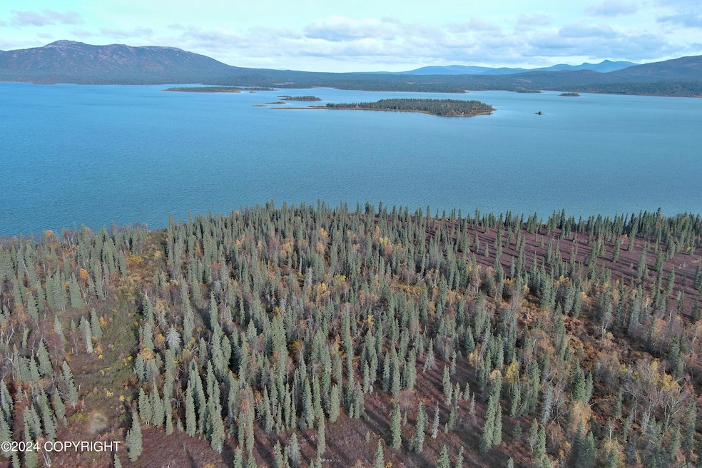 L6B4 Bear Tracks Rd, Aleknagik, AK 99555 - photo 1