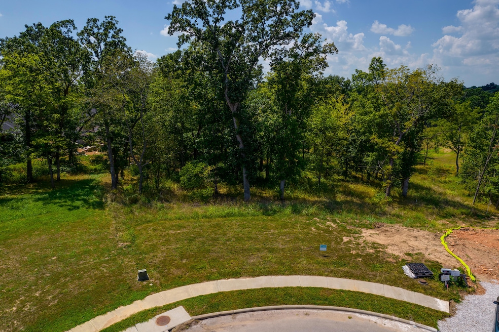 850 E Ashford Ave, Nixa, MO 65714 - photo 1