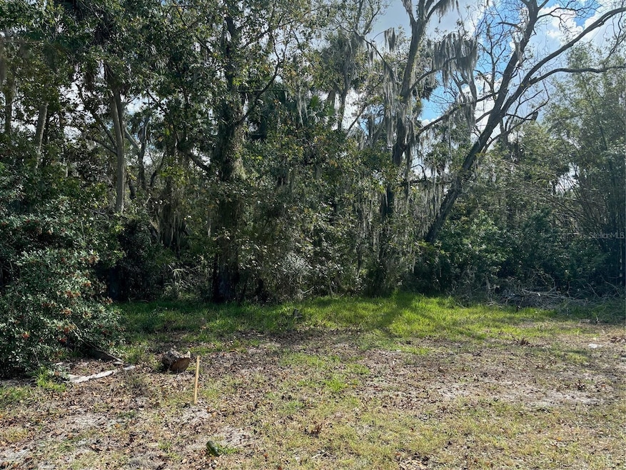 0 Kolb Place unit MFRTB8318616, Aripeka, FL 34667 - photo 1