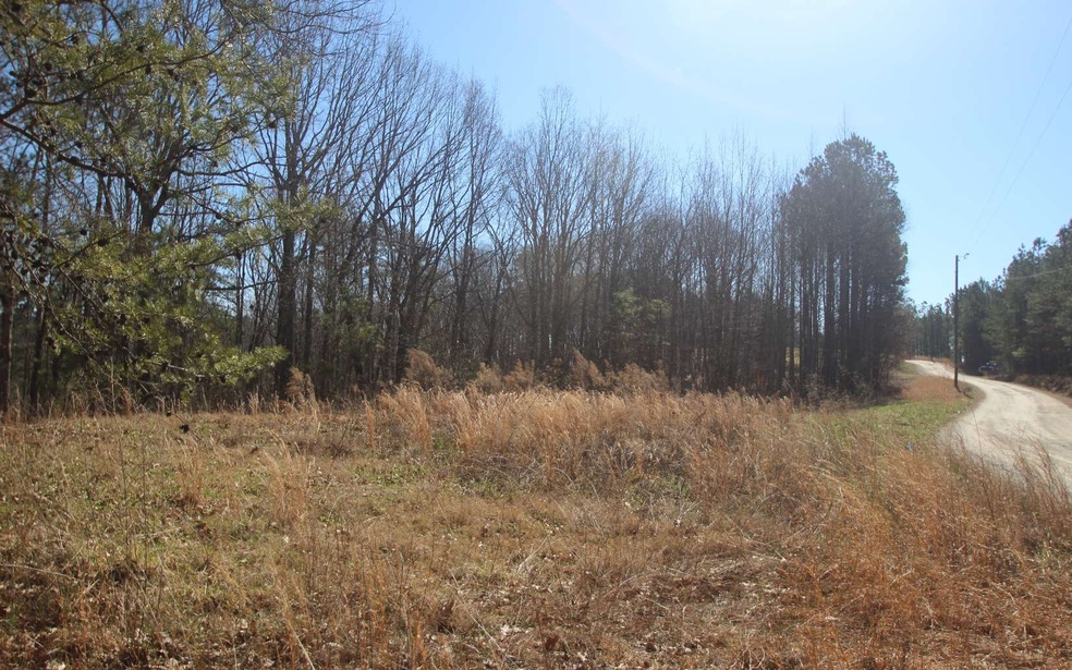 0 Log Round Mountain Rd unit 304623, Ellijay, GA 30540 - photo 1