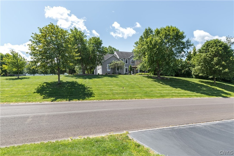 View from the Street