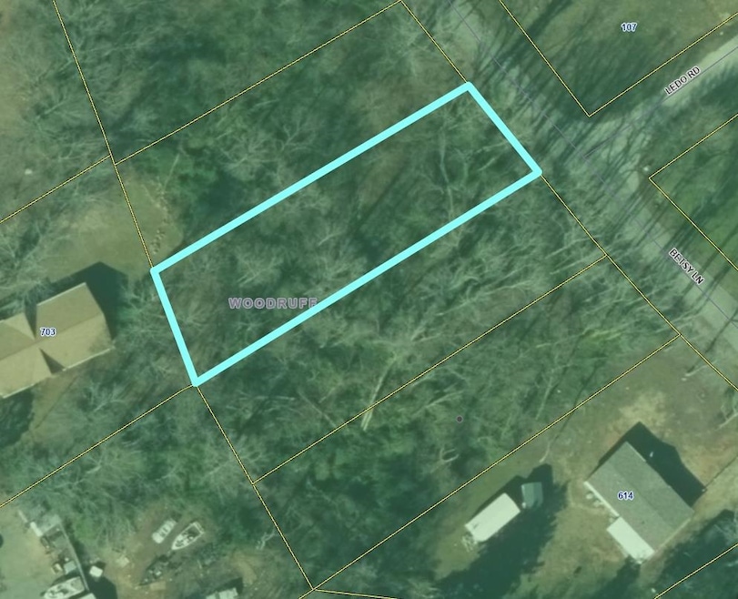 000 Betsy Ln, Woodruff, SC 29388 - photo 1