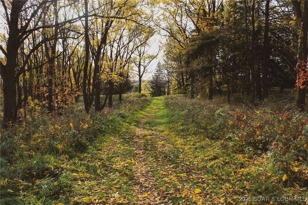 0 Tim Rd unit 3581161, Edwards, MO 65326 - photo 1