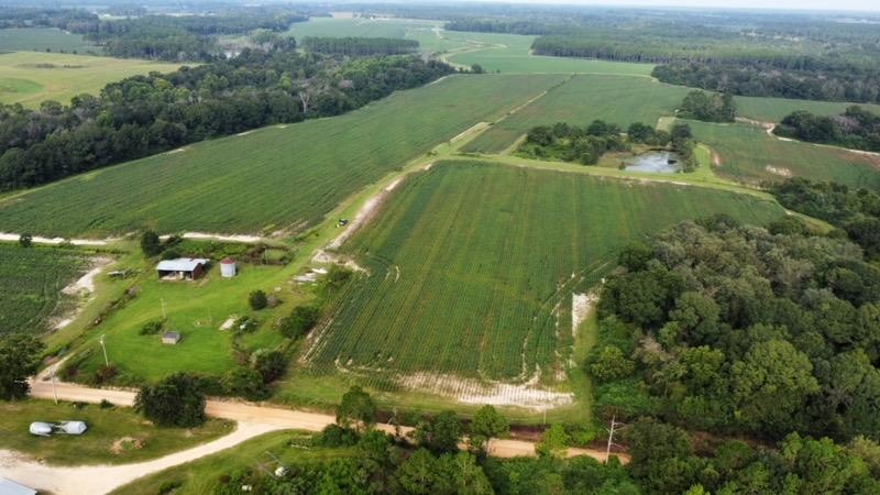 0 Jerry Young Rd unit 134444, Sumner, GA 31714 - photo 1