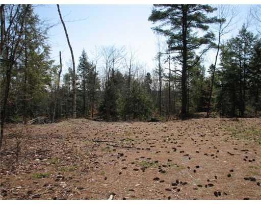 Land/Lot.