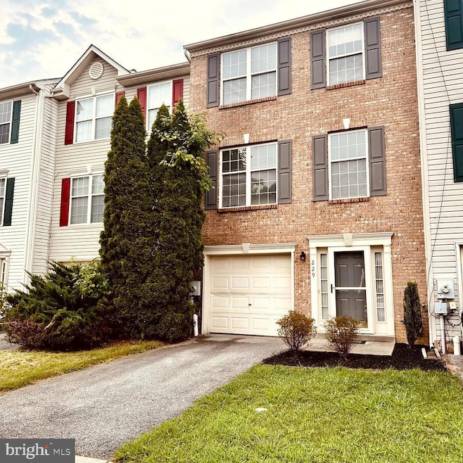 229 Pavin Ct, Newark, DE 19702 - photo 1