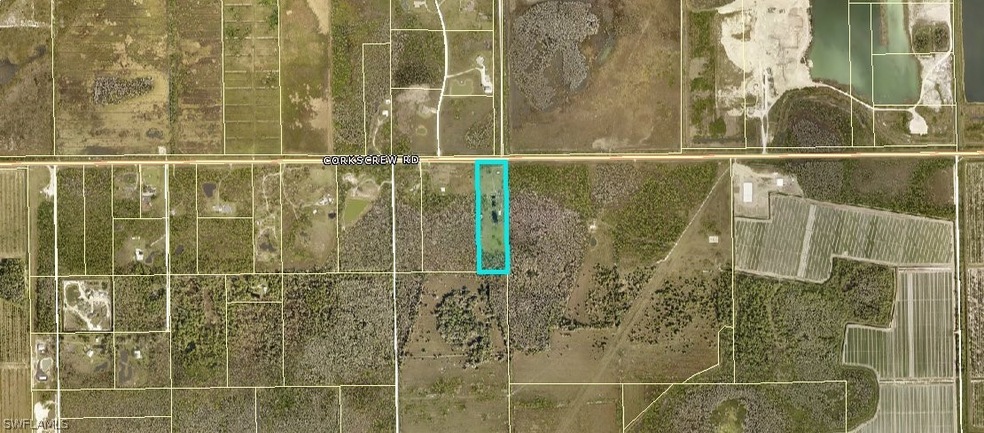 20948 Corkscrew Rd, Estero, FL 33928 - photo 1