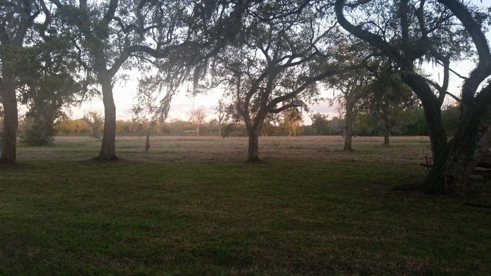 1216 County Road 819a, Brazoria, TX 77422 - photo 1