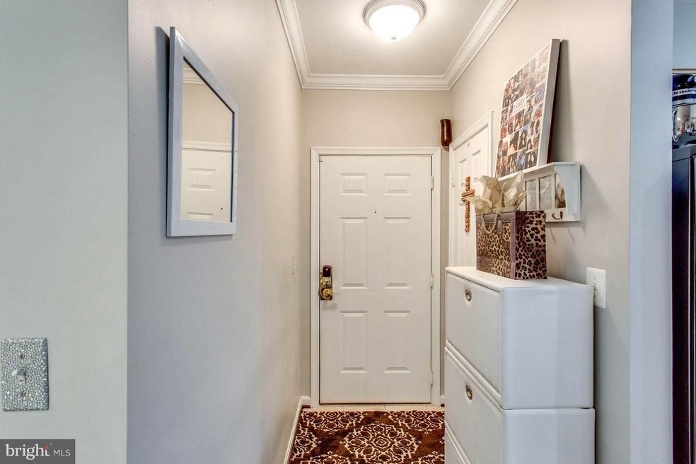 4561 Strutfield Ln unit 3114, Alexandria, VA 22311 - photo 1