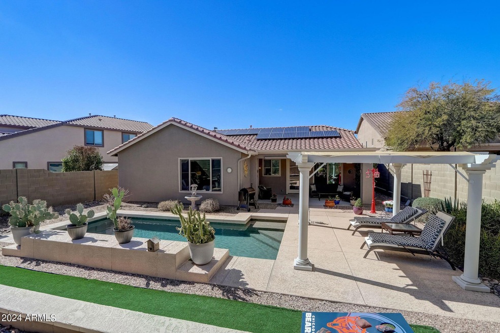 Backyard Oasis