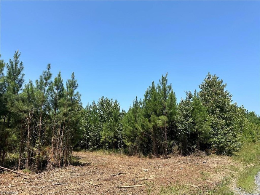 New Tract A2 Beane Country Rd, Asheboro, NC 27205 - photo 1