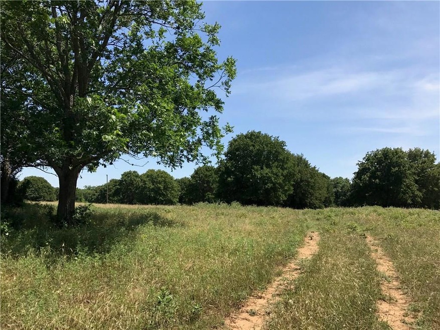 107AC Siebman Rd, Sadler, TX 76264 - photo 1