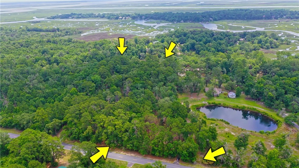 3.73 E S Ga Hwy 99 Hwy, Darien, GA 31305 - photo 1