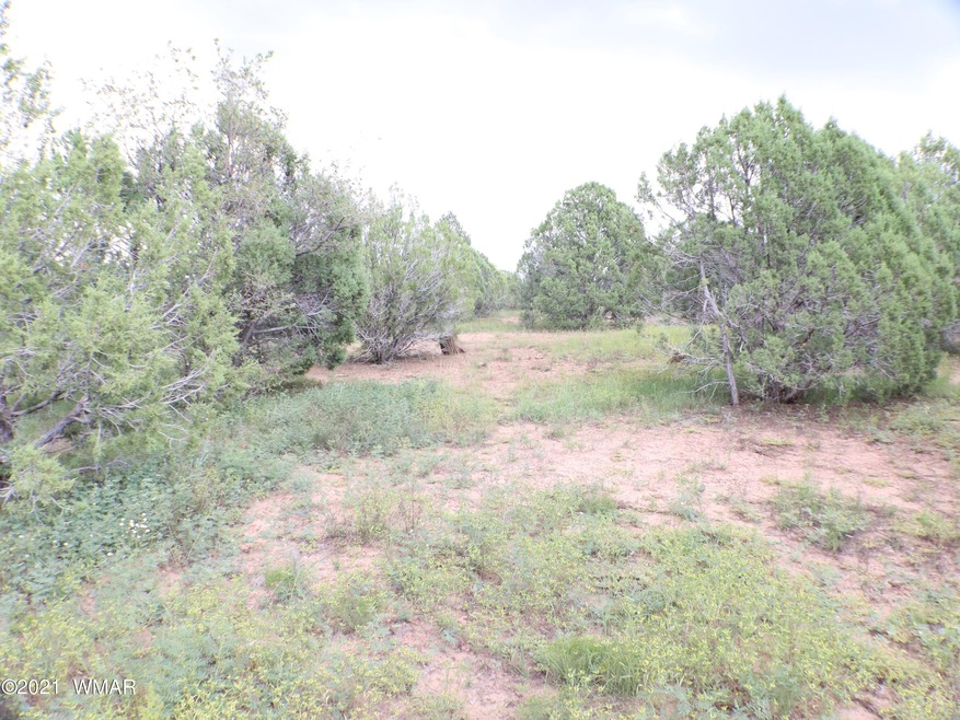 Lot 057G